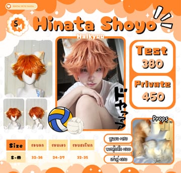 Hinata Shoyo — Haikyuu!!
